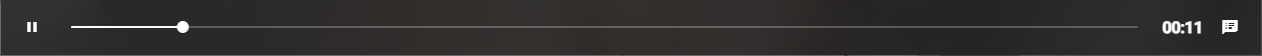 tutor-audio-control-bar.png